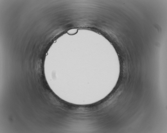 X0000113251265200910221114