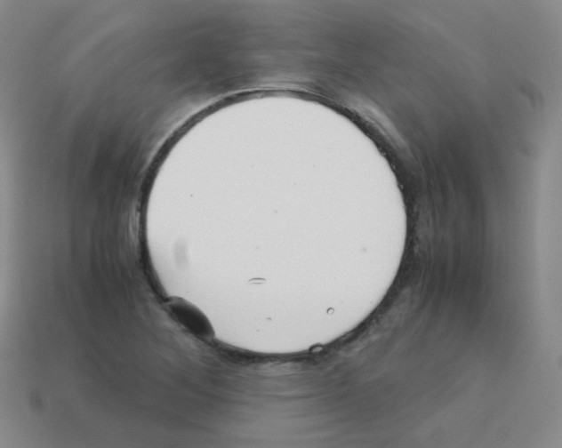 X0000113251268200910221114