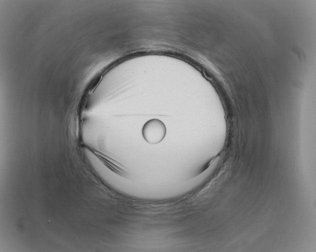 X0000113251269200910221114