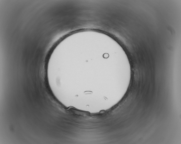 X0000113251270200910221114