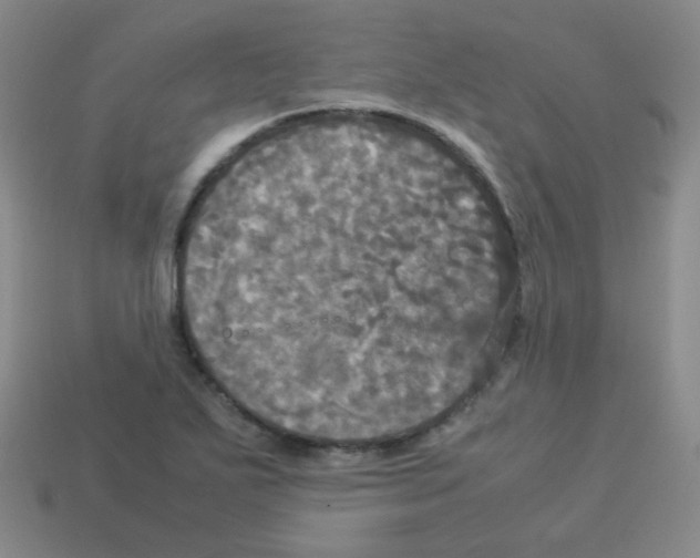 X0000113251271200910221114