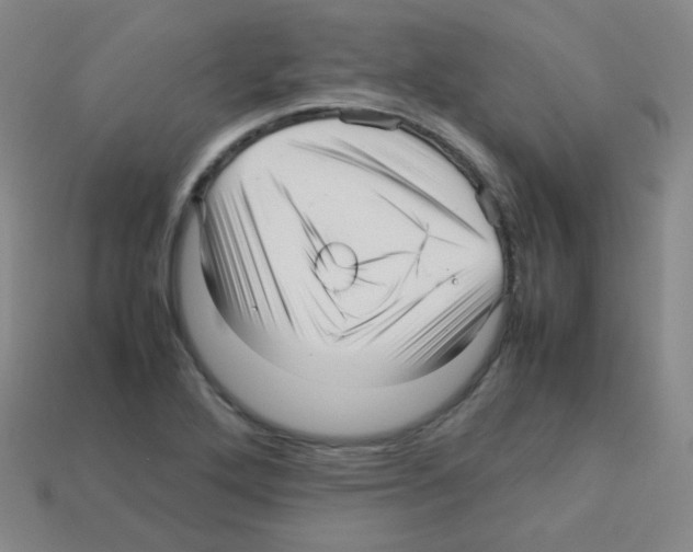 X0000113251272200910221114