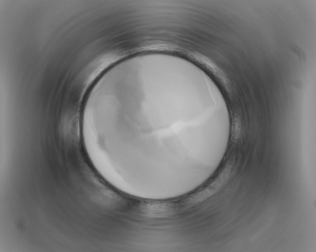 X0000113251274200910221113