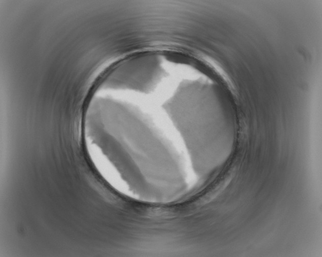 X0000113251275200910221113