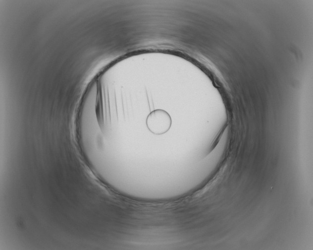 X0000113251277200910221113