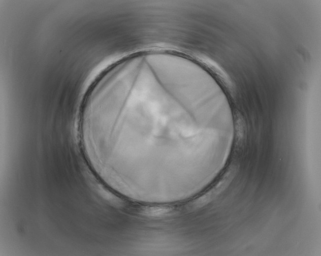 X0000113251278200910221113