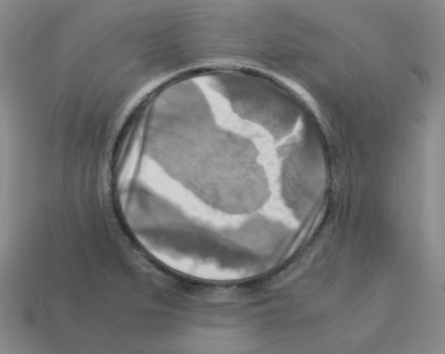 X0000113251279200910221113