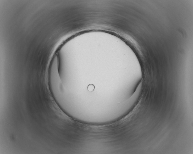 X0000113251280200910221113