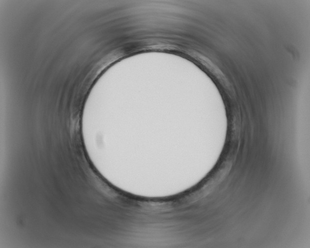 X0000113251281200910221113