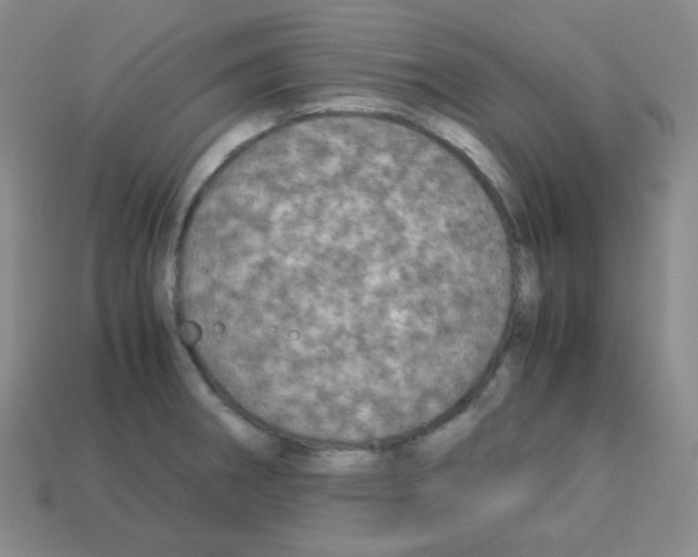 X0000113251282200910221113