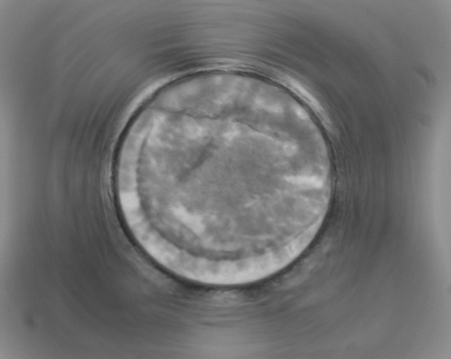 X0000113251283200910221113