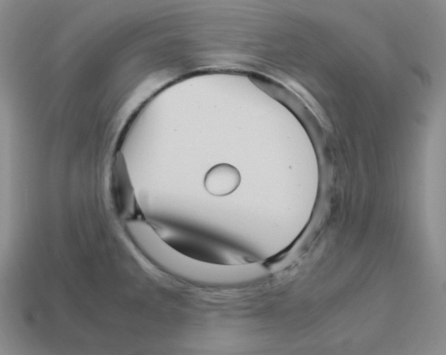 X0000113251285200910221113