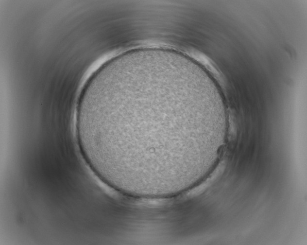 X0000113251286200910221113