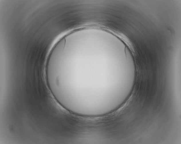 X0000113251288200910221113