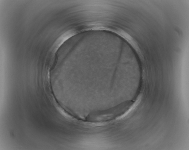 X0000113251289200910221113