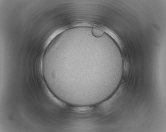 X0000113251290200910221113