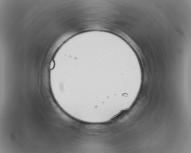 X0000113251293200910221113