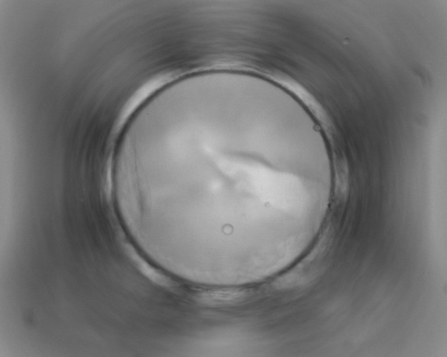 X0000113251294200910221113