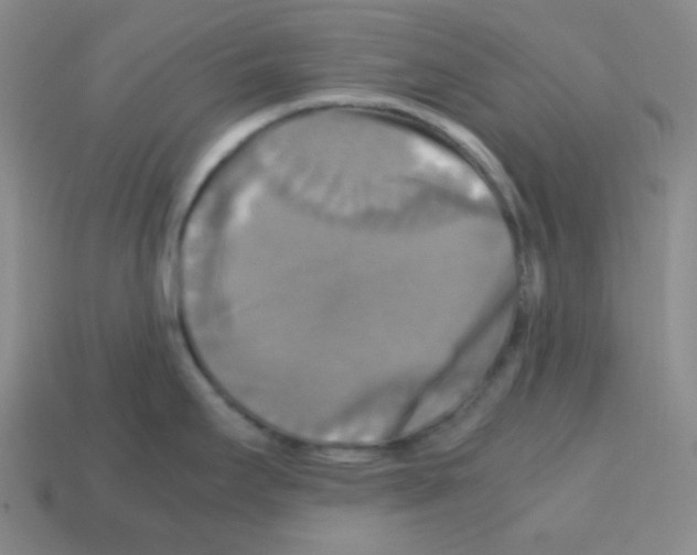 X0000113251295200910221113