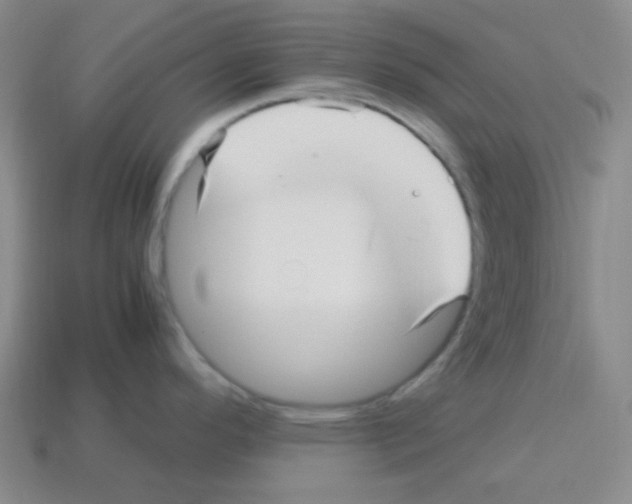 X0000113251296200910221113