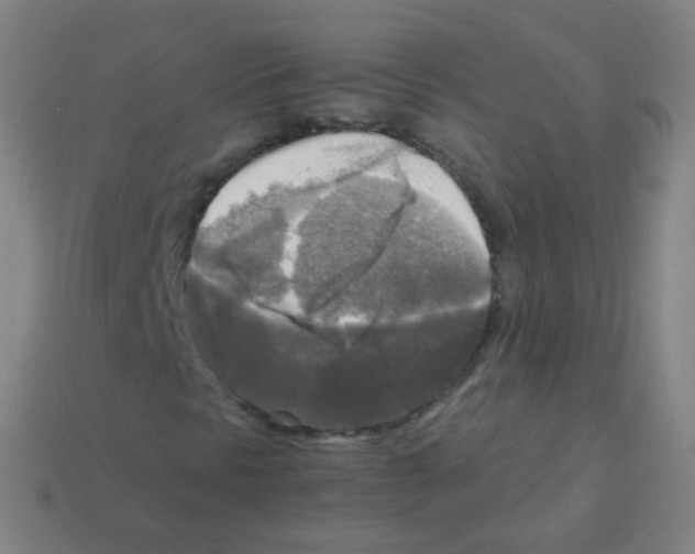 X0000113251297200910221113