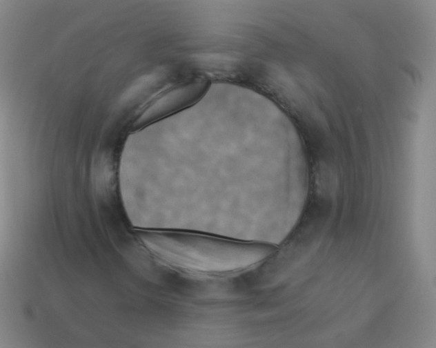 X0000113251298200910221113