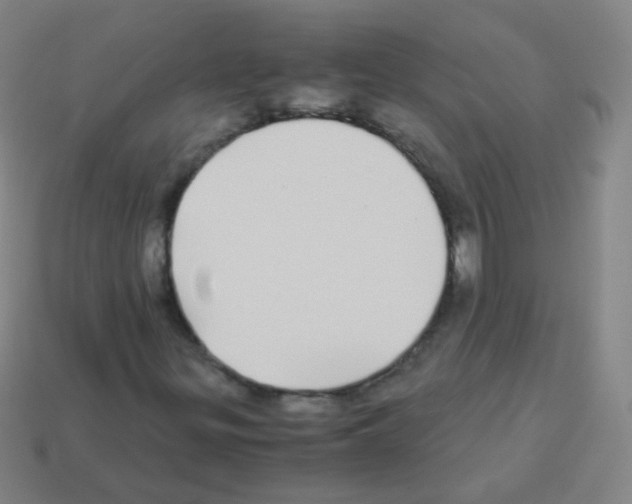 X0000113251299200910221113