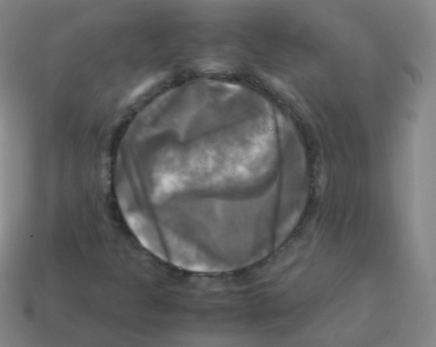 X0000113251301200910221113