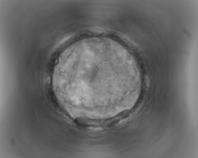 X0000113251302200910221113