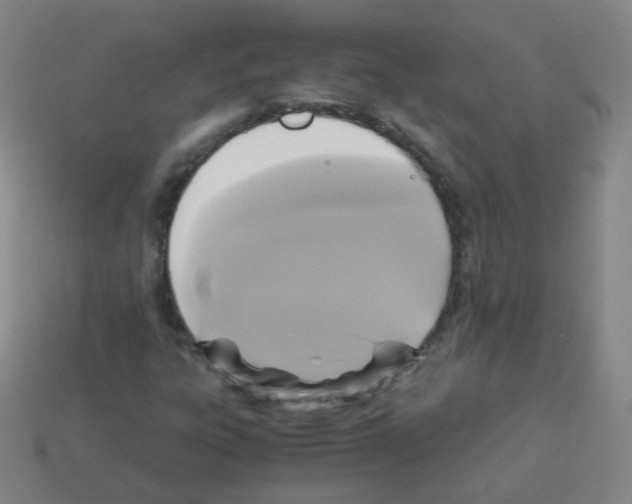 X0000113251303200910221113