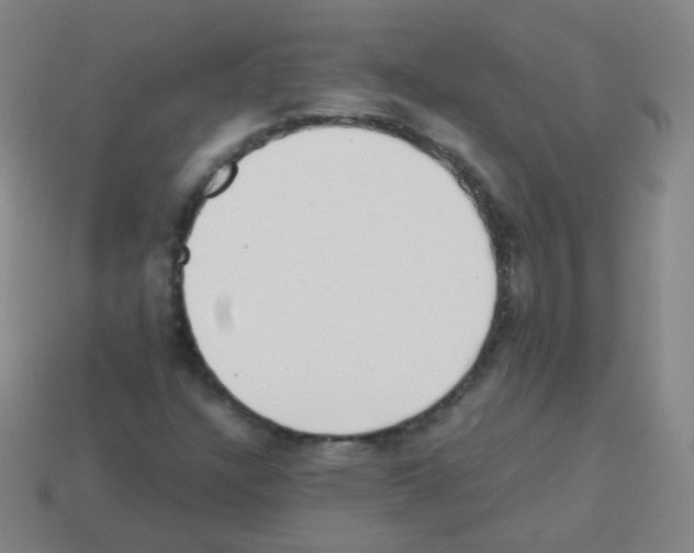 X0000113251304200910221113