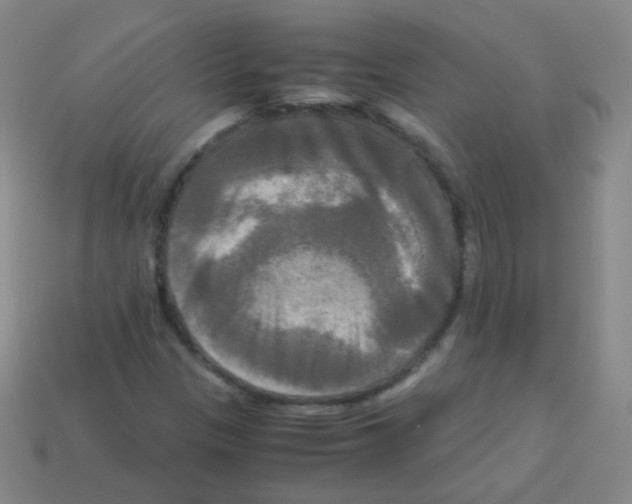 X0000113251305200910221113