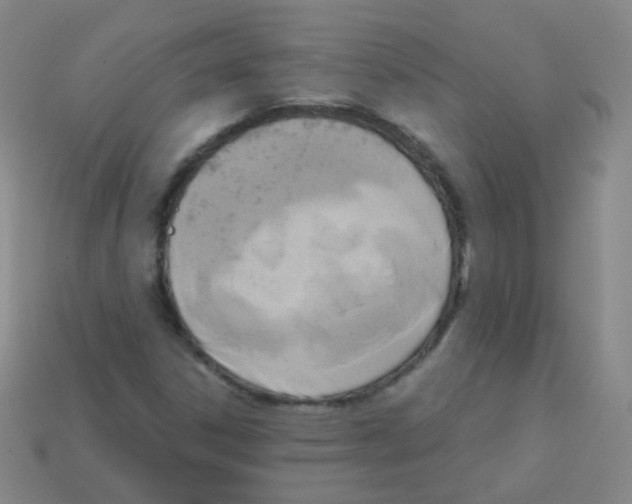 X0000113251306200910221113