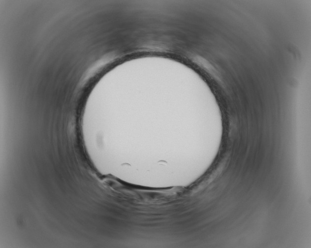 X0000113251307200910221113