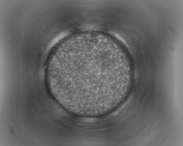 X0000113251309200910221113