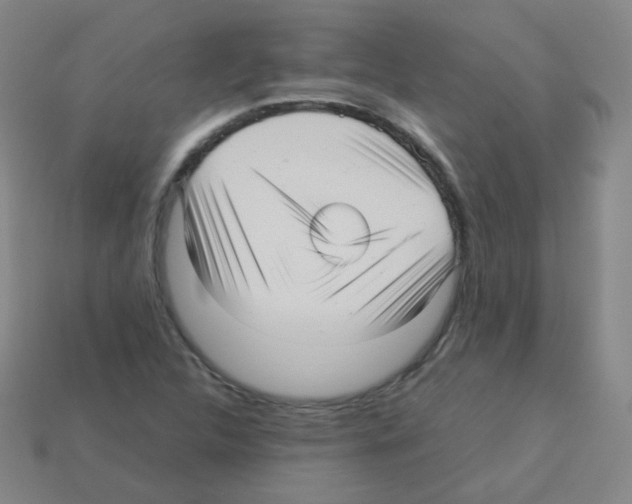 X0000113251312200910221113