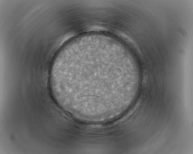 X0000113251313200910221113