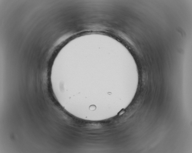 X0000113251315200910221113