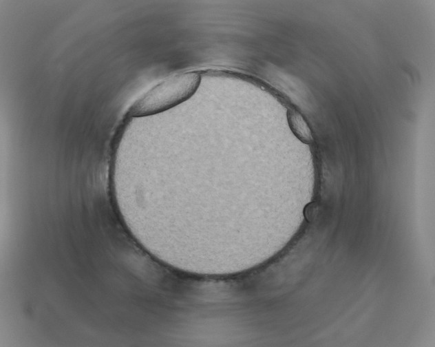 X0000113251316200910221113