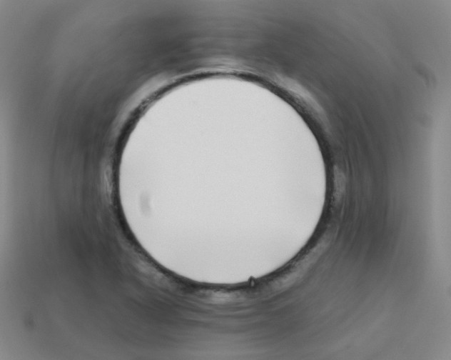 X0000113251318200910221113