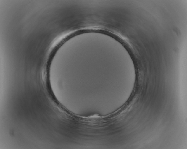 X0000113251319200910221113