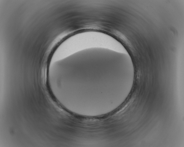 X0000113251323200910221113