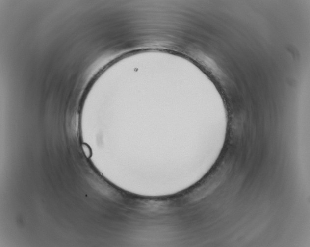 X0000113251324200910221113