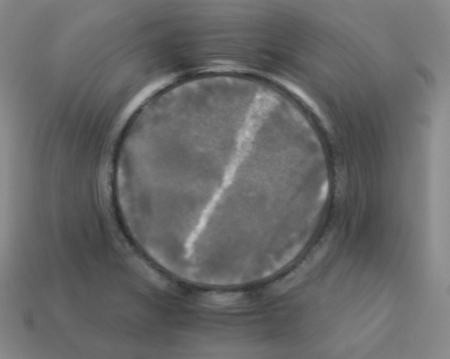 X0000113251325200910221113