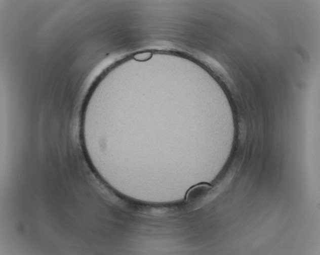 X0000113251326200910221113