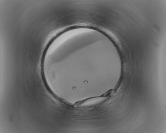 X0000113251327200910221113