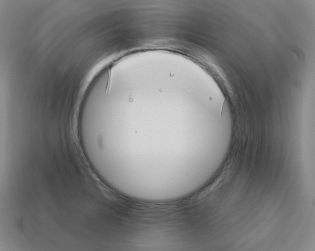 X0000113251328200910221113