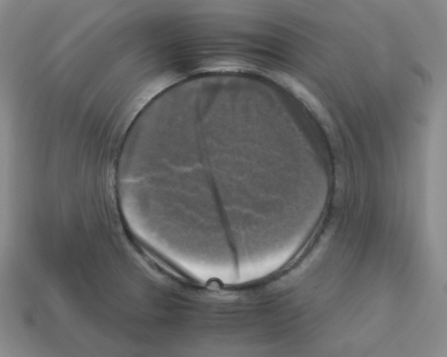 X0000113251329200910221113