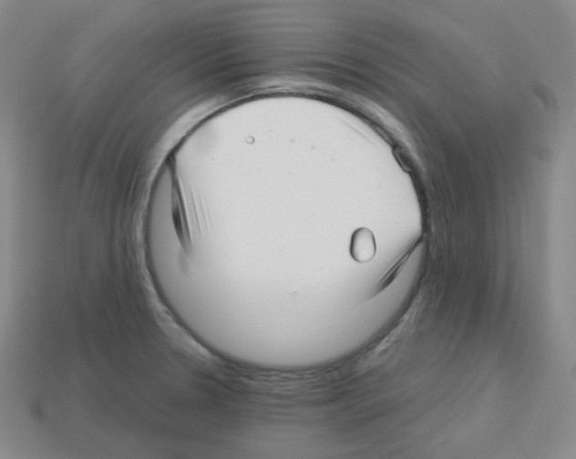 X0000113251330200910221113