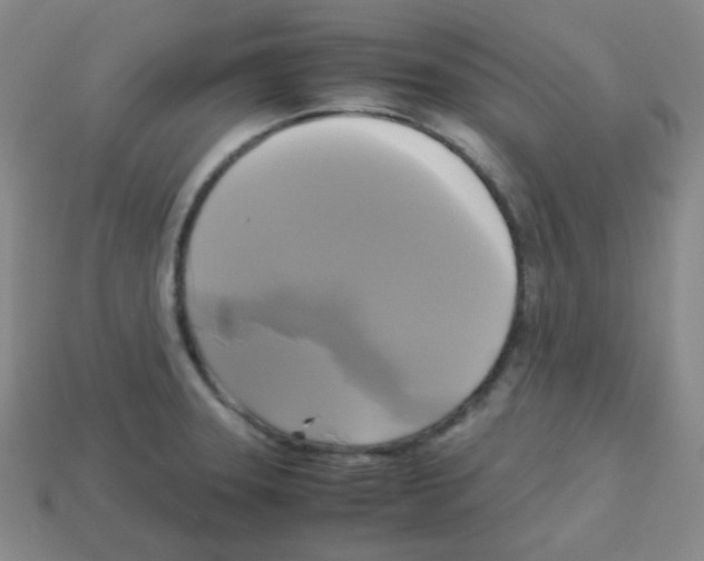 X0000113251331200910221113